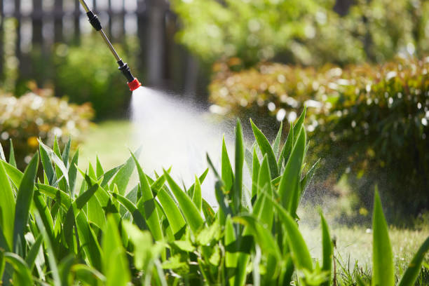 24/7 Emergency Fumigation Services experts in Brookneal, VA