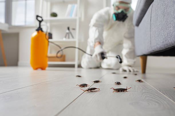 Trusted Fumigation Services service in Brookneal, VA - Nex Pest Control